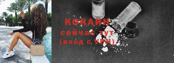 мдма Снежногорск